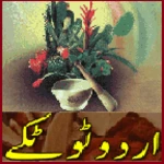 urdu totkay android application logo